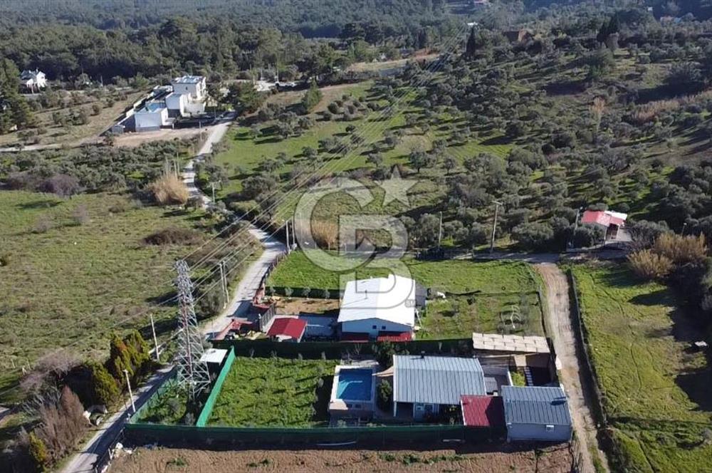 YUKARIKIZILCA KÖŞE PARSEL TURİZM PLANI İÇİNDE SATILIK BAĞ 