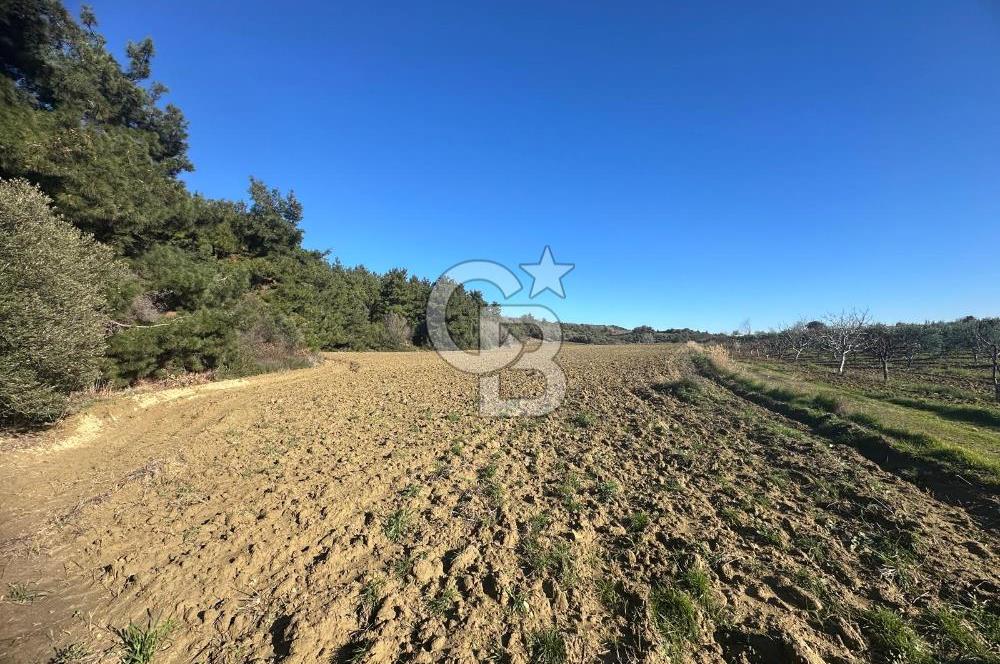 Gelibolu Burhanlı'da Yatırımlık Büyük Fırsat Arsa!!