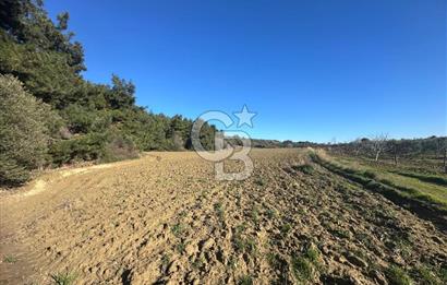 Gelibolu Burhanlı'da Yatırımlık Büyük Fırsat Arsa!!