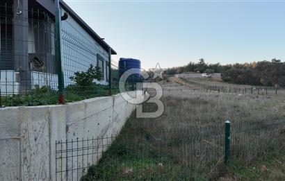 Bornova Yakaköy Köyaltı | 247 m² Köşe Parsel | Yolu Var 