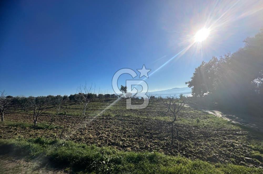 Gelibolu Burhanlı'da Yatırımlık Büyük Fırsat Arsa!!