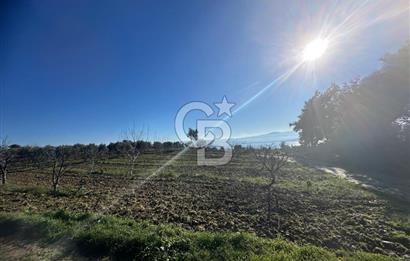 Gelibolu Burhanlı'da Yatırımlık Büyük Fırsat Arsa!!