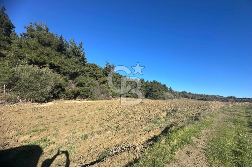 Gelibolu Burhanlı'da Yatırımlık Büyük Fırsat Arsa!!