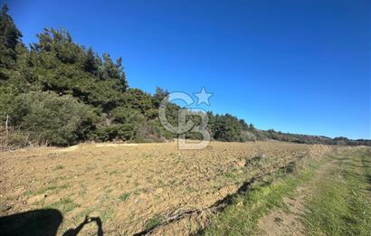 Gelibolu Burhanlı'da Yatırımlık Büyük Fırsat Arsa!!