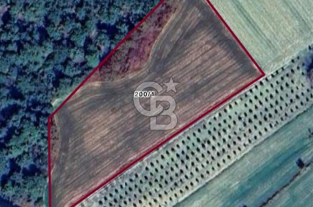 Gelibolu Burhanlı'da Yatırımlık Büyük Fırsat Arsa!!