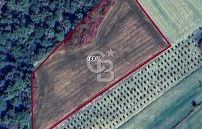 Gelibolu Burhanlı'da Yatırımlık Büyük Fırsat Arsa!!