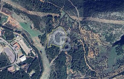 İzmir Bornova Altındağ Satılık 18.820m2 Arazi