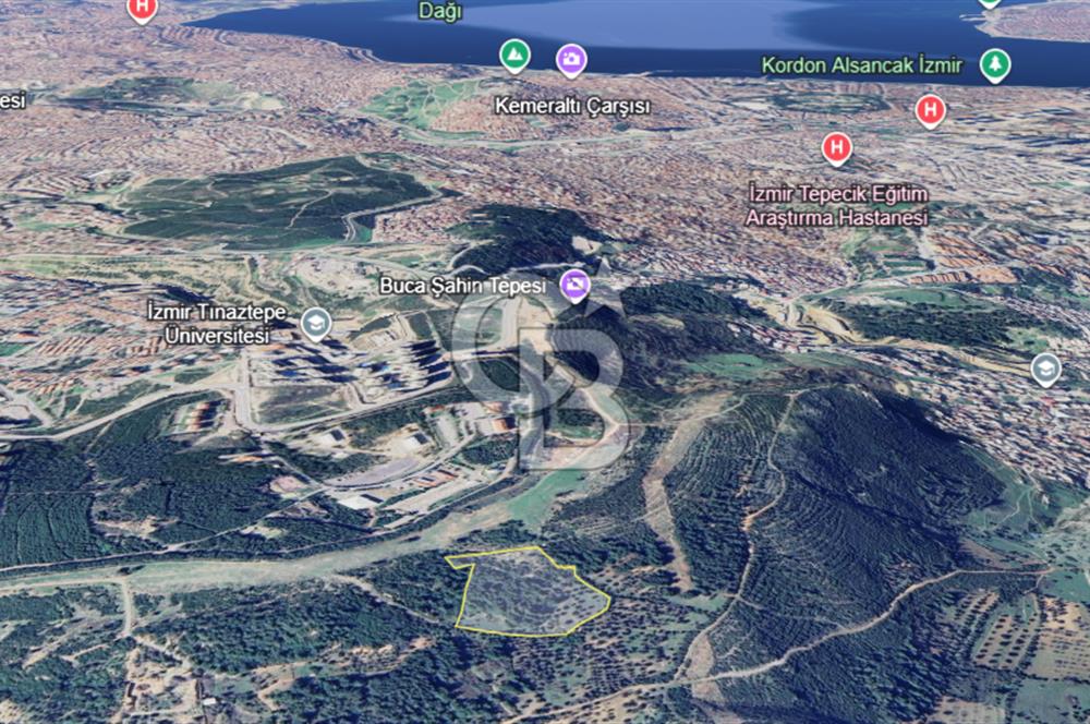 İzmir Bornova Altındağ Satılık 18.820m2 Arazi