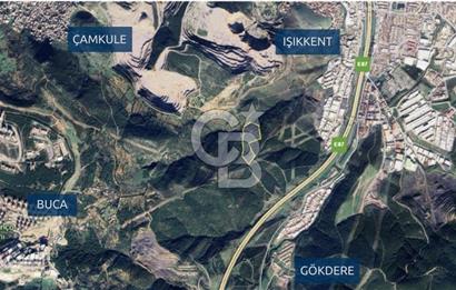 İzmir Bornova Çamkule Satılık 41,900 m2 Zeytinlik