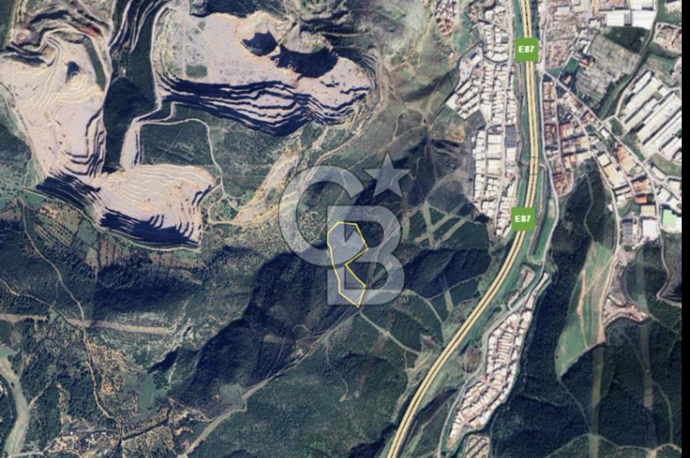 İzmir Bornova Çamkule Satılık 41,900 m2 Zeytinlik