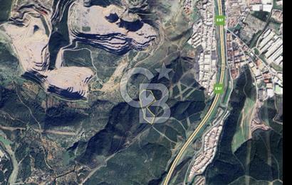 İzmir Bornova Çamkule Satılık 41,900 m2 Zeytinlik