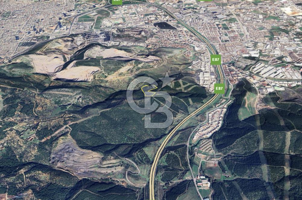 İzmir Bornova Çamkule Satılık 41,900 m2 Zeytinlik