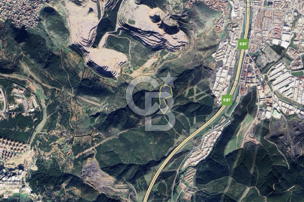 İzmir Bornova Çamkule Satılık 41,900 m2 Zeytinlik