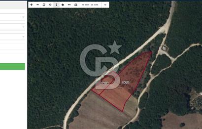 Kavak Kazancı da Satılık Tarla