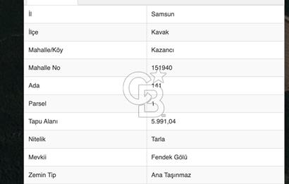 Kavak Kazancı da Satılık Tarla