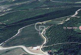 Kavak Kazancı da Satılık Tarla - 1 - 328678