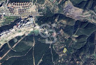 İzmir Bornova Gökdere Satılık 3977m2 Tarla - 1 - 328692