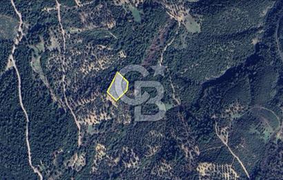 İzmir Bornova Gökdere Satılık 3977m2 Tarla