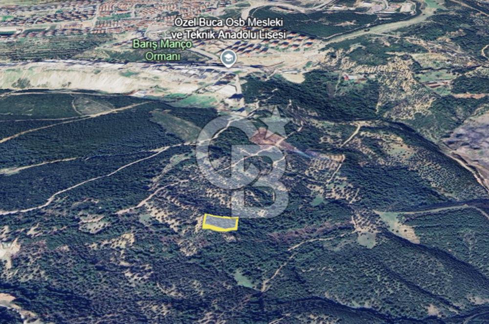 İzmir Bornova Gökdere Satılık 3977m2 Tarla