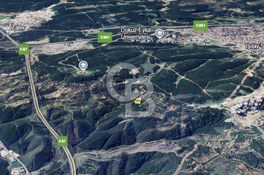 İzmir Bornova Gökdere Satılık 3977m2 Tarla