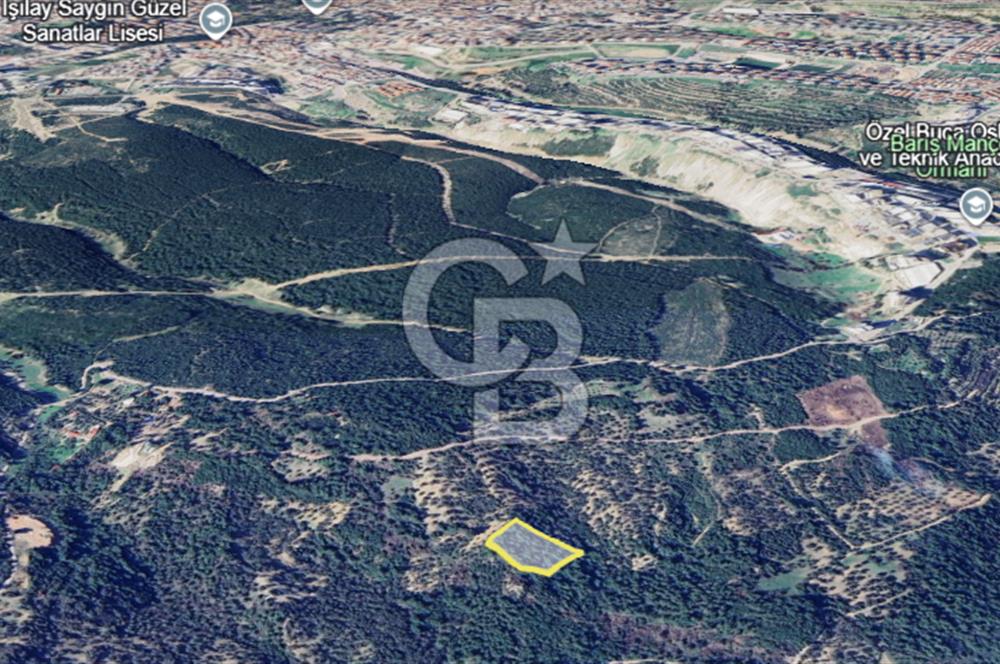 İzmir Bornova Gökdere Satılık 3977m2 Tarla