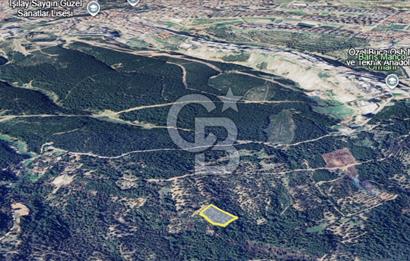 İzmir Bornova Gökdere Satılık 3977m2 Tarla