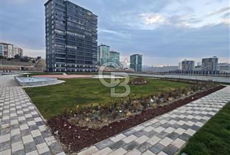 Kiralık 1+1 As Royal Loft Viole Alacaatlı'da Yeni Daire No:23 - 3 - 328708