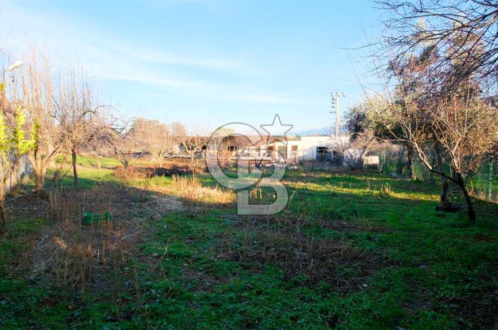 Kemalpaşa Satılık Villa 