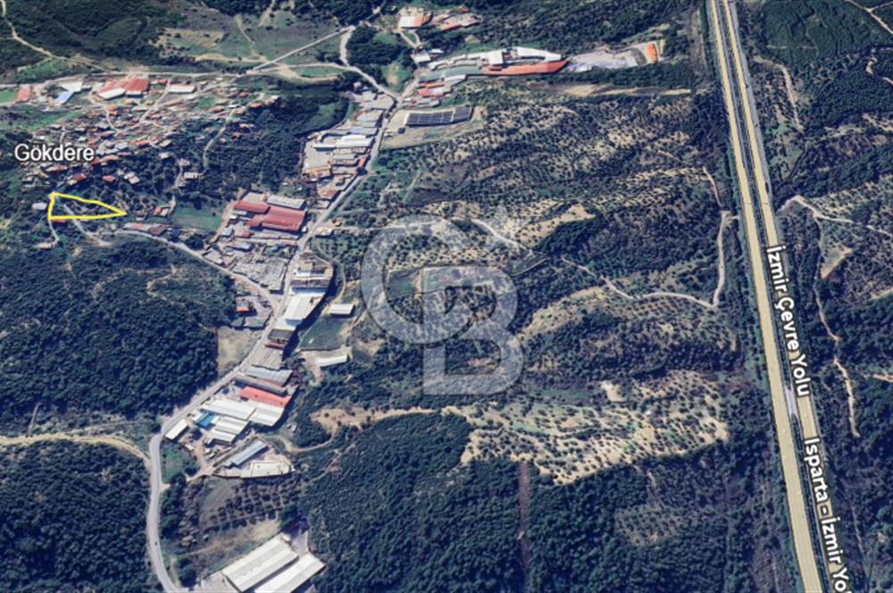 İzmir Bornova Gökdere Satılık Tarla 3701 m2 (Köy İçinde)