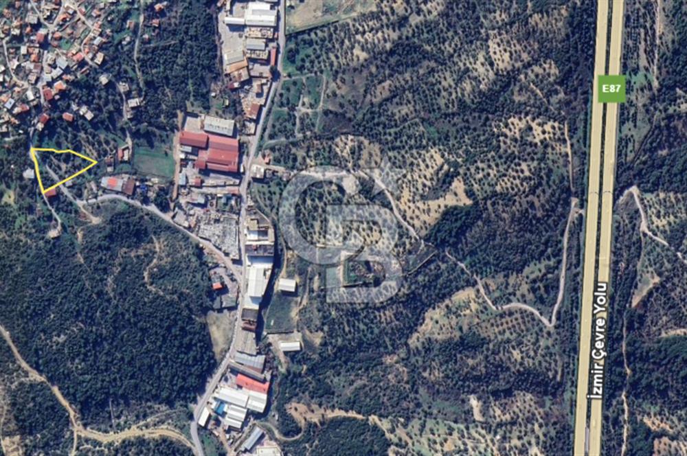 İzmir Bornova Gökdere Satılık Tarla 3701 m2 (Köy İçinde)