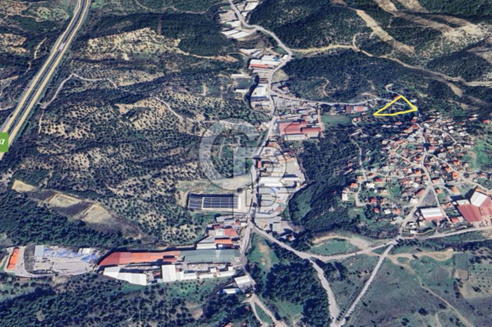 İzmir Bornova Gökdere Satılık Tarla 3701 m2 (Köy İçinde)