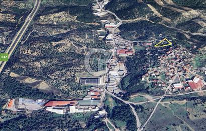 İzmir Bornova Gökdere Satılık Tarla 3701 m2 (Köy İçinde)