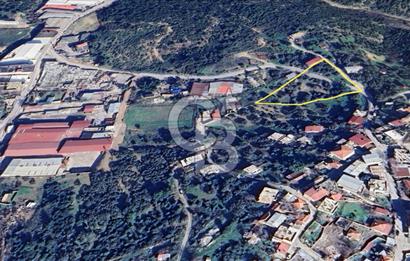 İzmir Bornova Gökdere Satılık Tarla 3701 m2 (Köy İçinde)