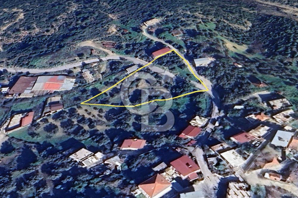 İzmir Bornova Gökdere Satılık Tarla 3701 m2 (Köy İçinde)