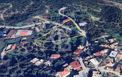 İzmir Bornova Gökdere Satılık Tarla 3701 m2 (Köy İçinde)