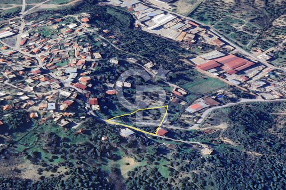 İzmir Bornova Gökdere Satılık Tarla 3701 m2 (Köy İçinde)