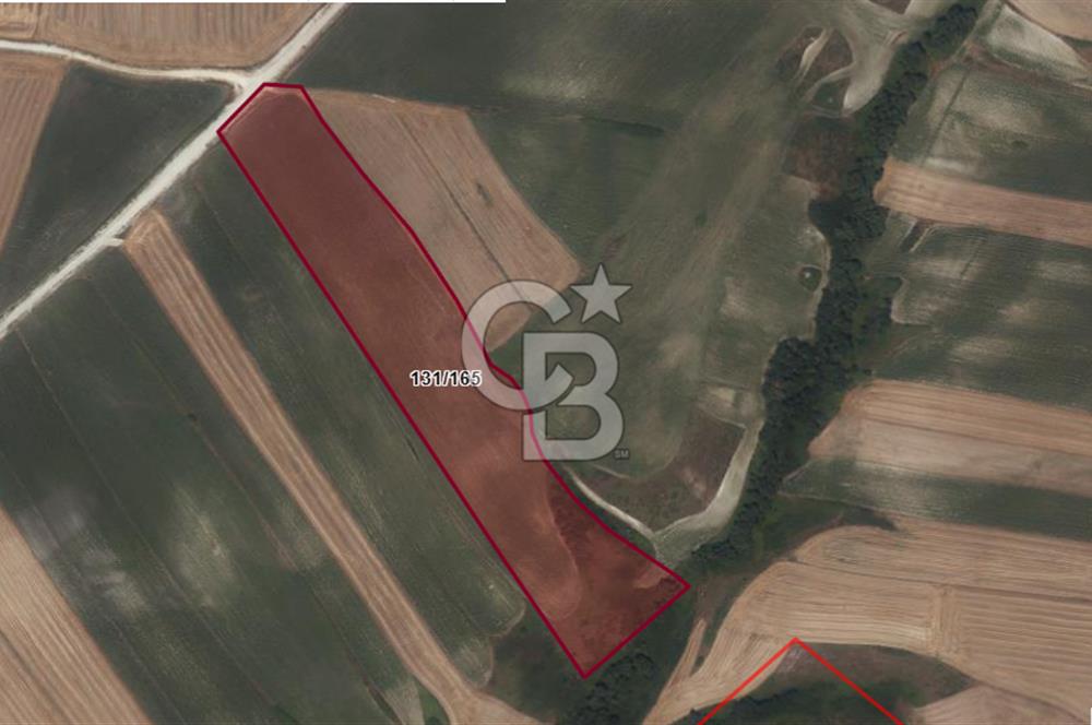 CB'DAN ÇATALCA NAKKAŞ 275M2, HAVAALANINA YAKIN, YOLA CEPHE