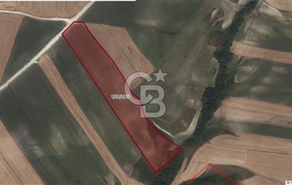 CB'DAN ÇATALCA NAKKAŞ 275M2, HAVAALANINA YAKIN, YOLA CEPHE