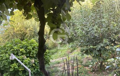 KARACABEY KURŞUNLUDA SATILIK MÜSTAKİL EV