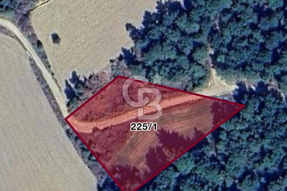 Gelibolu Burhanlı'da Kaçırılmayacak Arazi Fırsatı!-Acil Satılık.