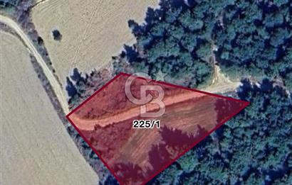 Gelibolu Burhanlı'da Kaçırılmayacak Arazi Fırsatı!-Acil Satılık.