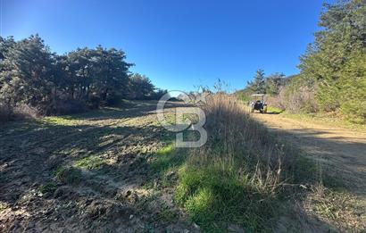 Gelibolu Burhanlı'da Kaçırılmayacak Arazi Fırsatı!-Acil Satılık.