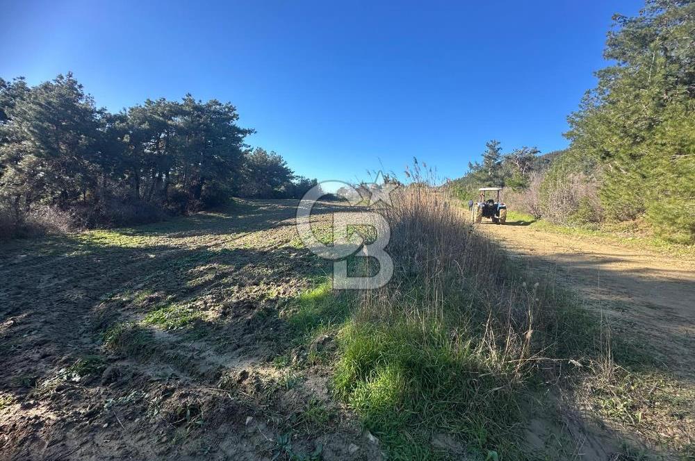 Gelibolu Burhanlı'da Kaçırılmayacak Arazi Fırsatı!-Acil Satılık.