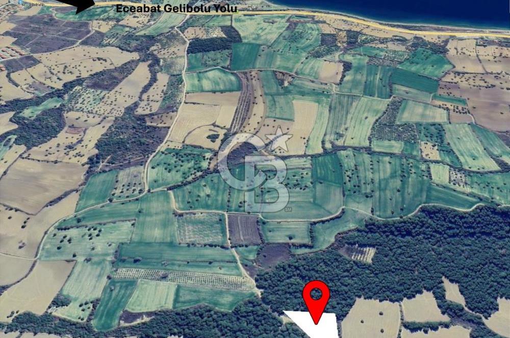 Gelibolu Burhanlı'da Kaçırılmayacak Arazi Fırsatı!-Acil Satılık.