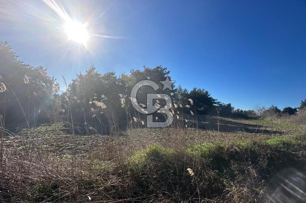 Gelibolu Burhanlı'da Kaçırılmayacak Arazi Fırsatı!-Acil Satılık.