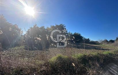 Gelibolu Burhanlı'da Kaçırılmayacak Arazi Fırsatı!-Acil Satılık.