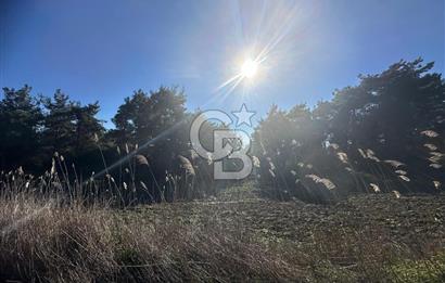 Gelibolu Burhanlı'da Kaçırılmayacak Arazi Fırsatı!-Acil Satılık.