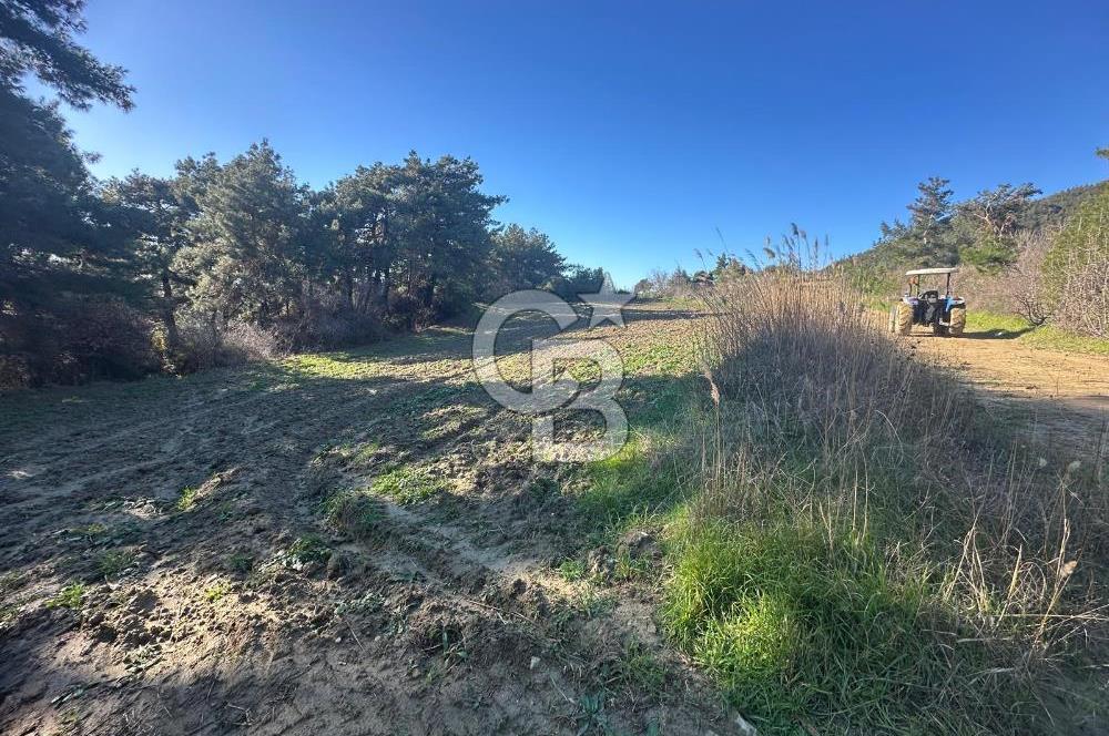 Gelibolu Burhanlı'da Kaçırılmayacak Arazi Fırsatı!-Acil Satılık.