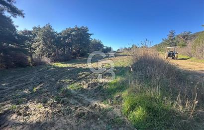 Gelibolu Burhanlı'da Kaçırılmayacak Arazi Fırsatı!-Acil Satılık.