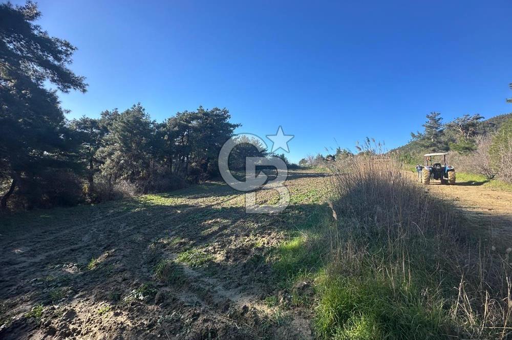 Gelibolu Burhanlı'da Kaçırılmayacak Arazi Fırsatı!-Acil Satılık.